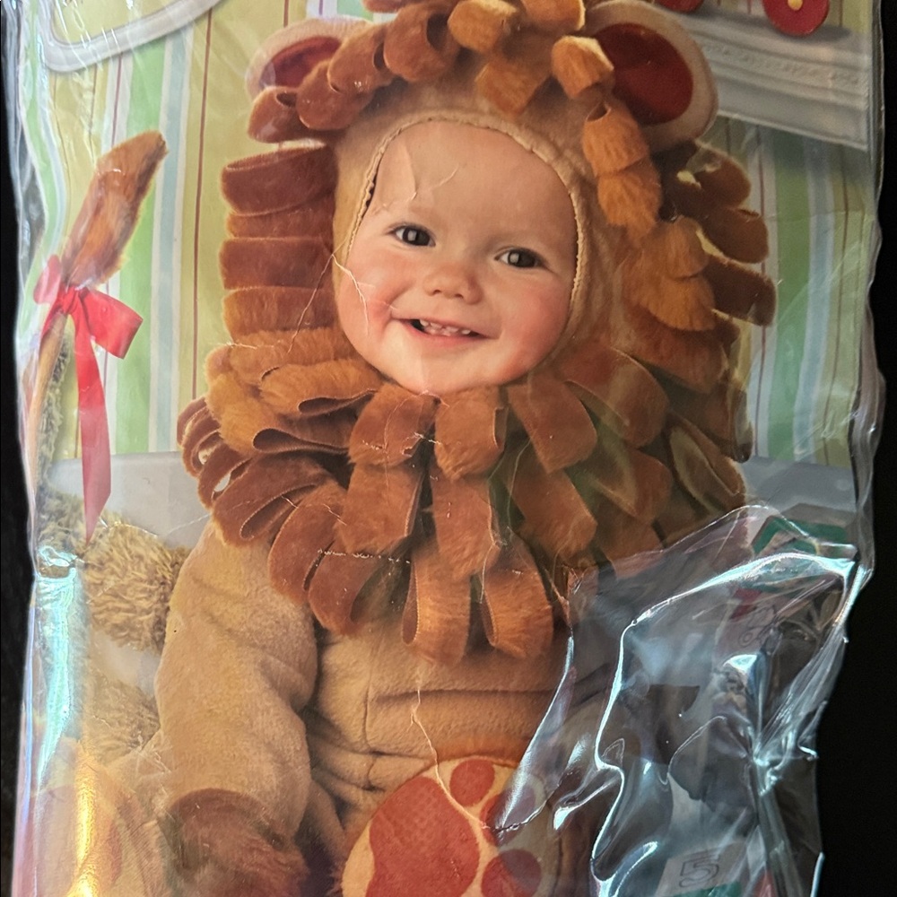 Adorable Lion Costume for Toddlers